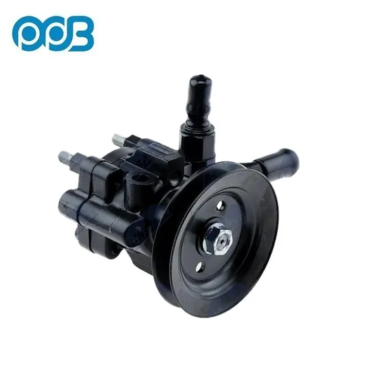 Pompe de direction assistée hydraulique pour Ford OEM 2L3z3a674aarm 2L3z3a674carm F65z3a674AA /F5RC3a674CB 3915088