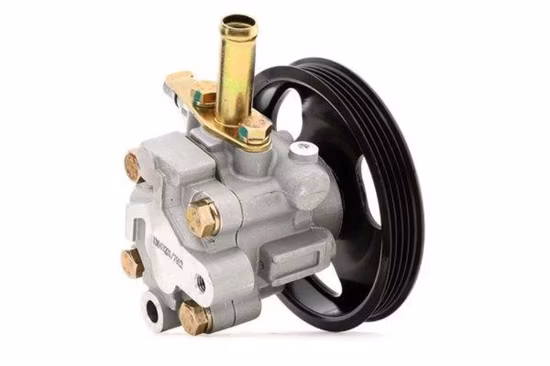 Pompe de direction assistée hydraulique de haute qualité en gros utilisée pour FIAT 552293350